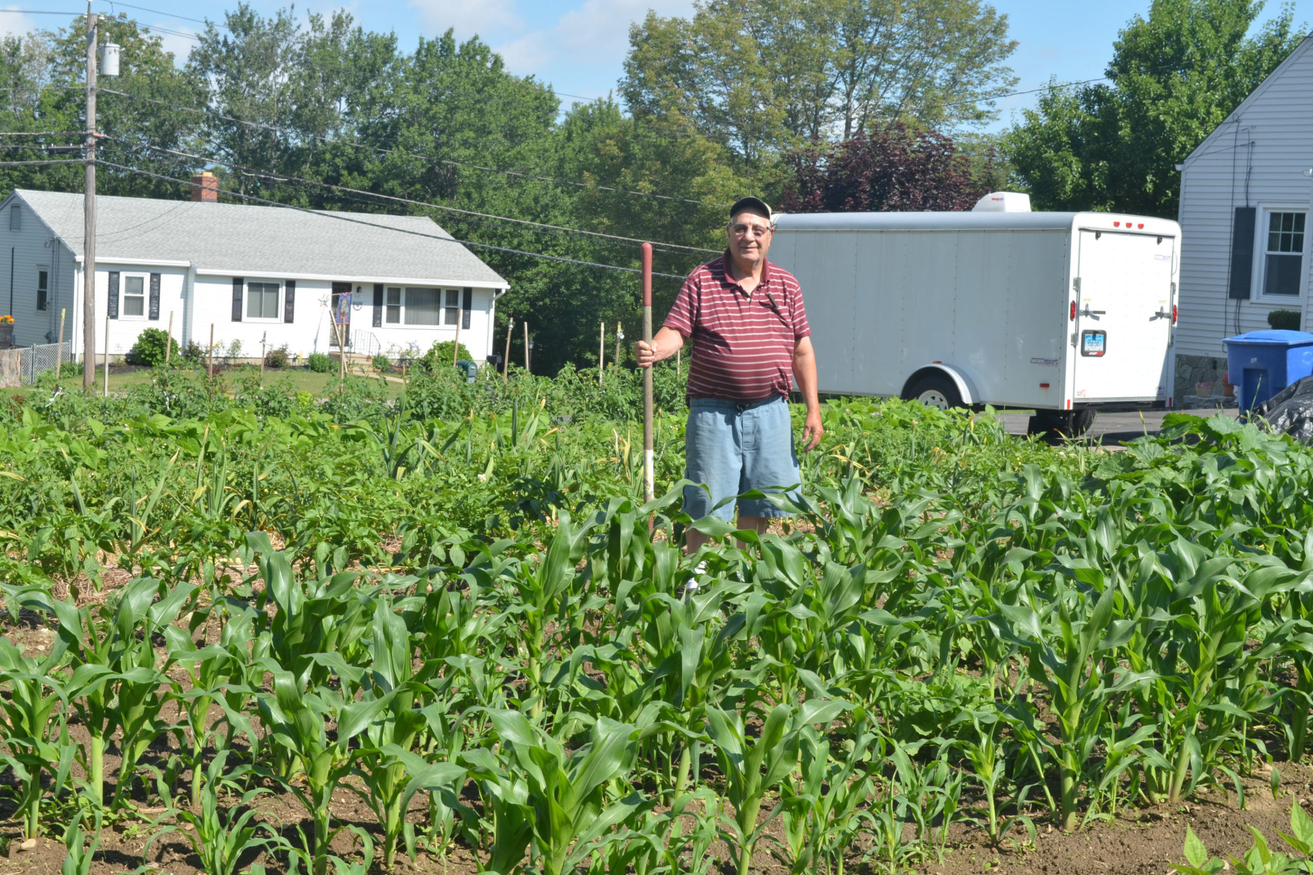 Brass City/Grass Roots The Persistence of Farming in Waterbury